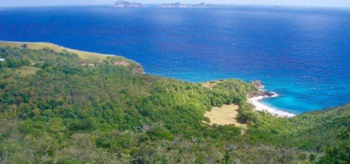 Friendship Heights Lot 21