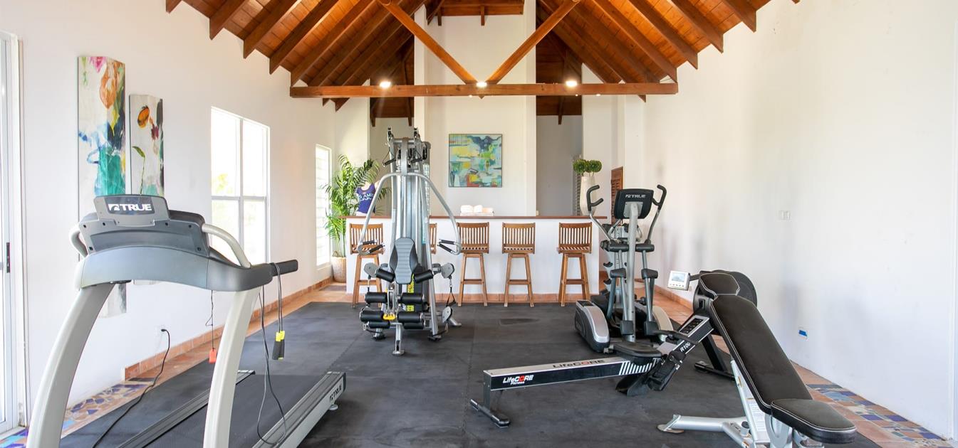 vacation-rentals/netherlands-antilles/st-maarten/st-maarten/mes-amis