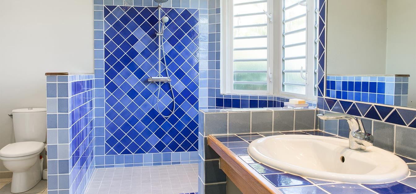 vacation-rentals/netherlands-antilles/st-maarten/st-maarten/oceane