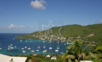 The View
