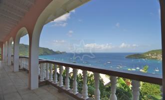 The View