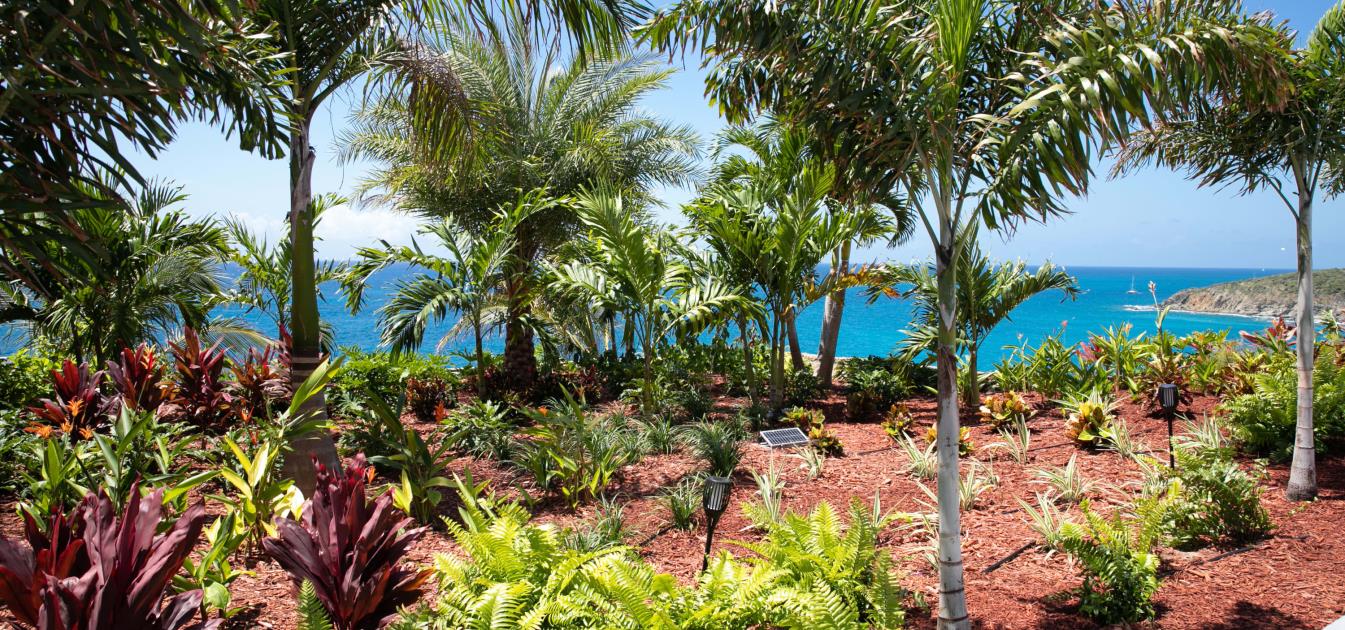 vacation-rentals/netherlands-antilles/st-maarten/st-maarten/aqua-dream
