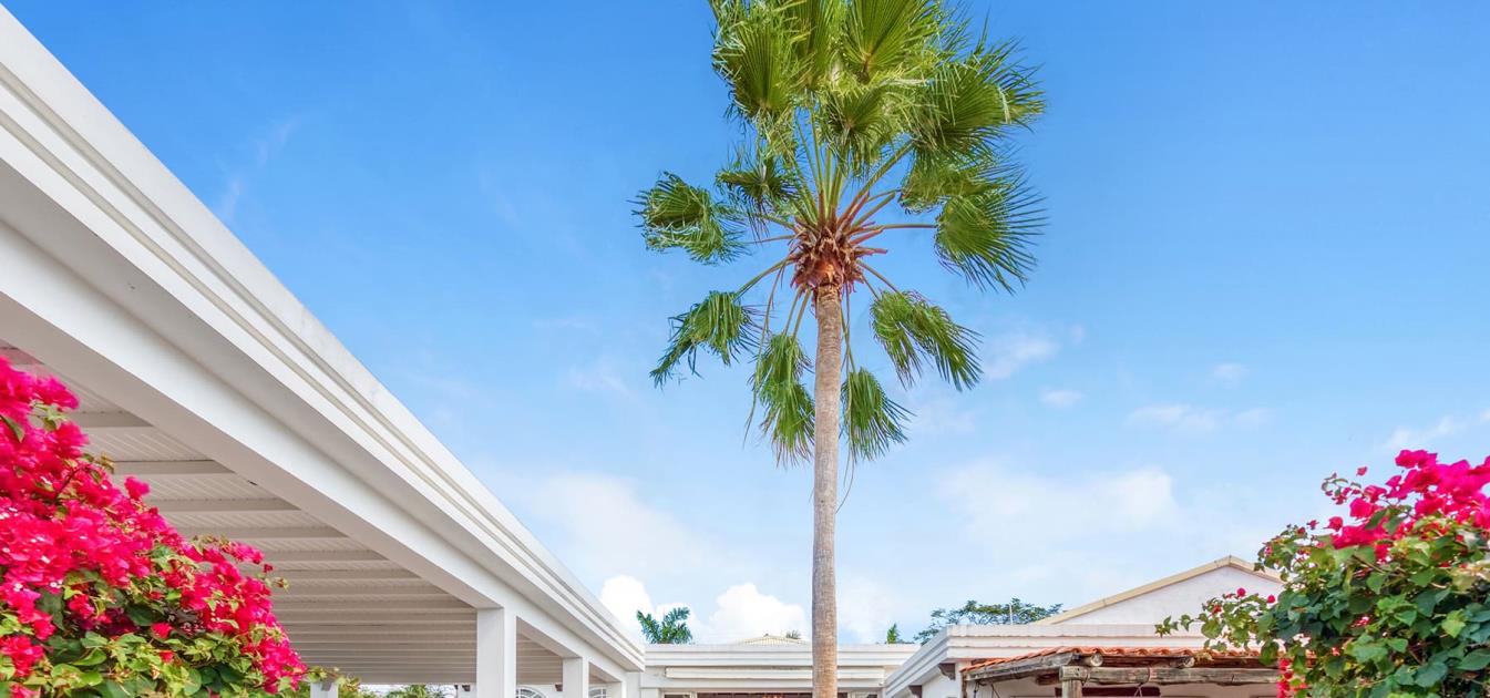 vacation-rentals/netherlands-antilles/st-maarten/st-maarten/la-hacienda