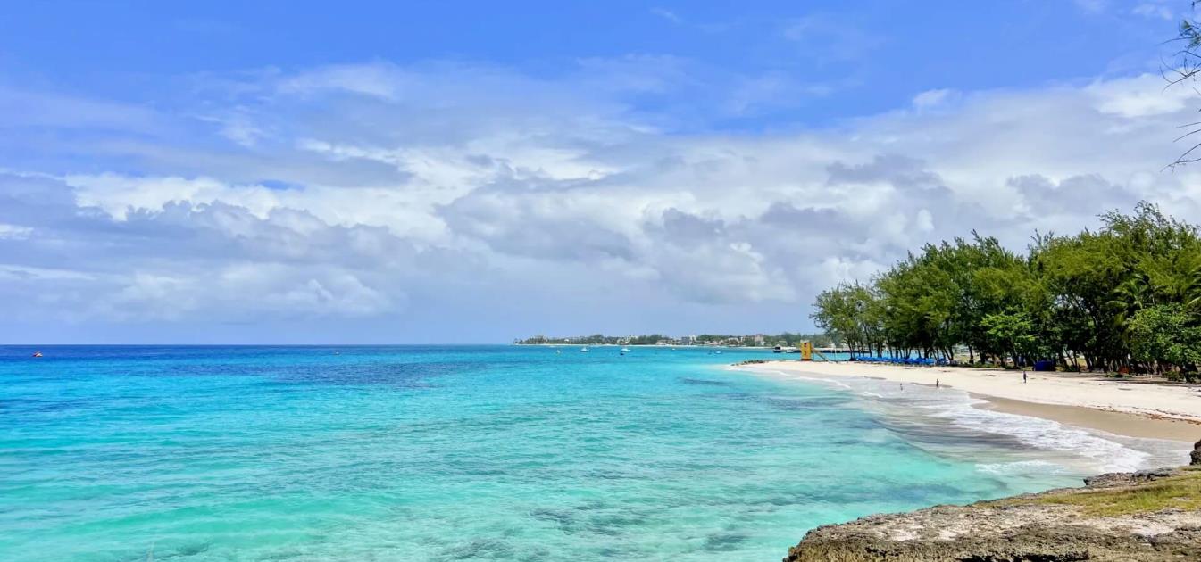 vacation-rentals/barbados/barbados/christ-church/palisades-8b