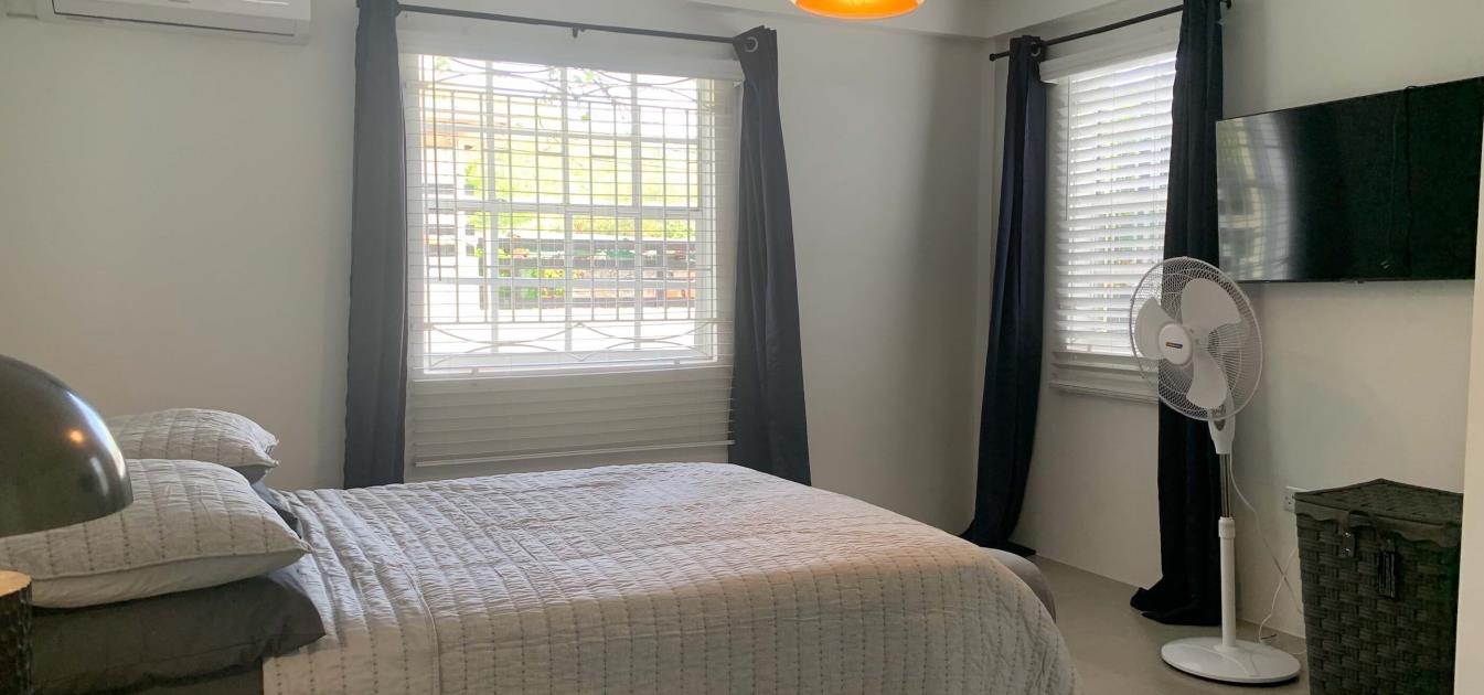 vacation-rentals/st-vincent-and-the-grenadines/bequia/hamilton/beach-view-apartment