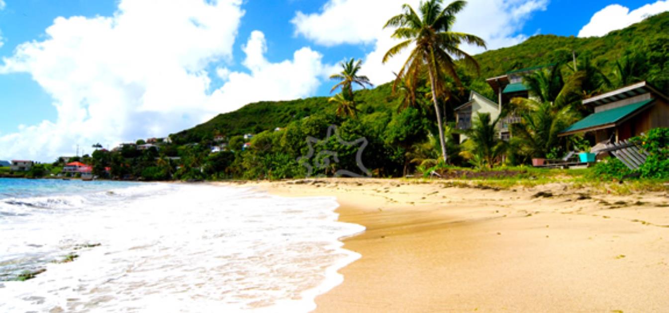 vacation-rentals/st-vincent-and-the-grenadines/special-properties/spring/villas-for-groups