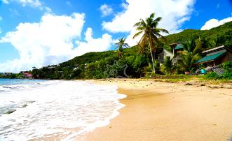 - Villas for Groups