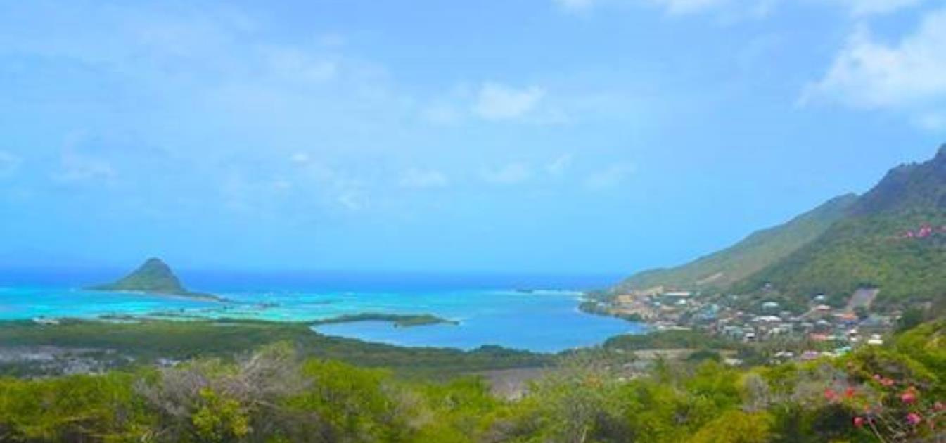 4 Acres Fantastic Value with 2 Houses