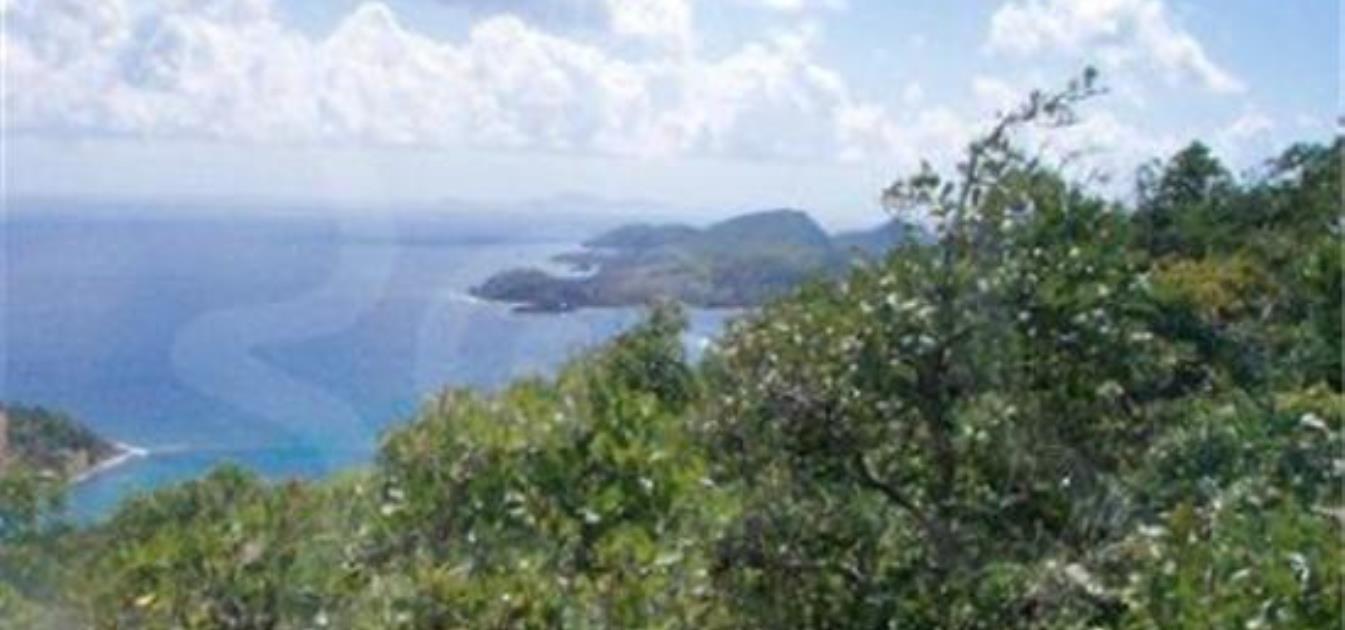 Friendship Heights Lot 2