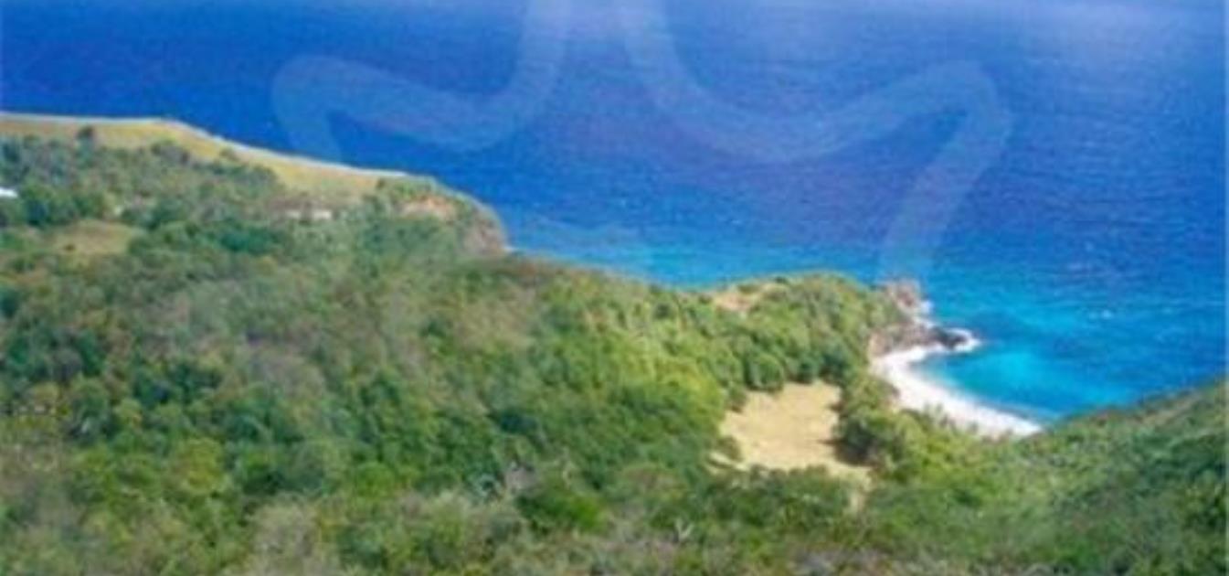 Friendship Heights Lot 2