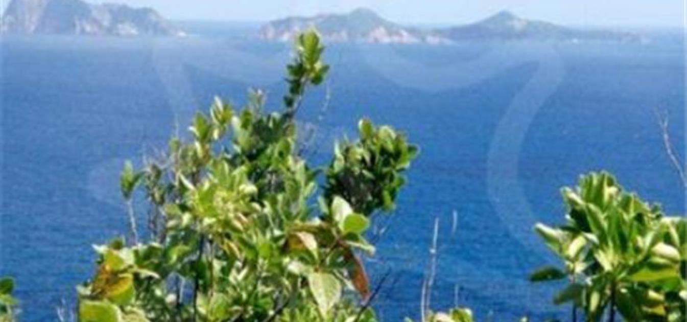 Friendship Heights Lot 2