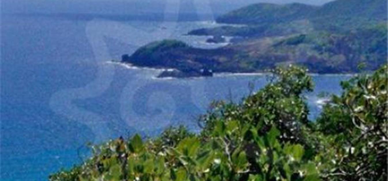 Friendship Heights Lot 2