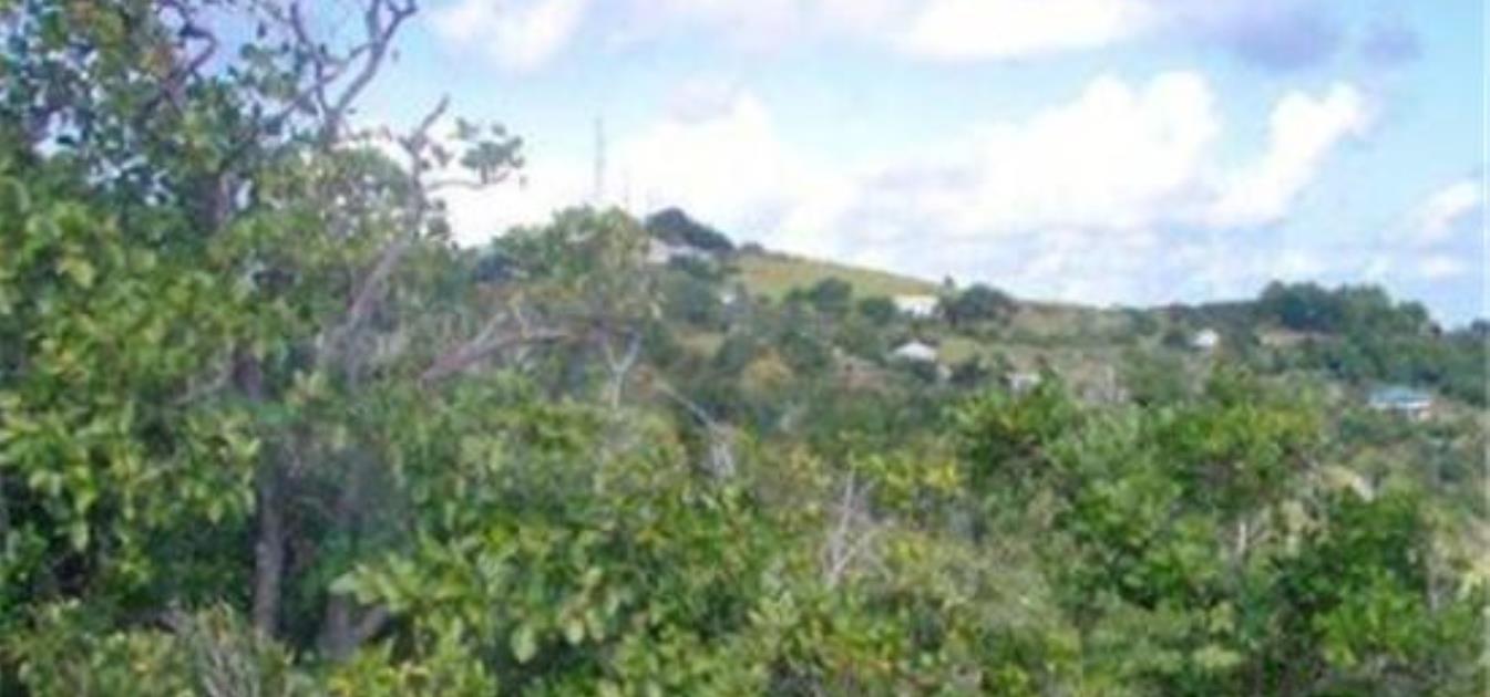 Friendship Heights Lot 2