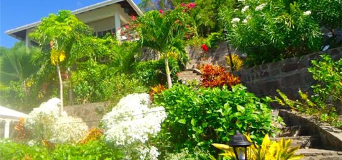 Bequia Sweet - Bequia