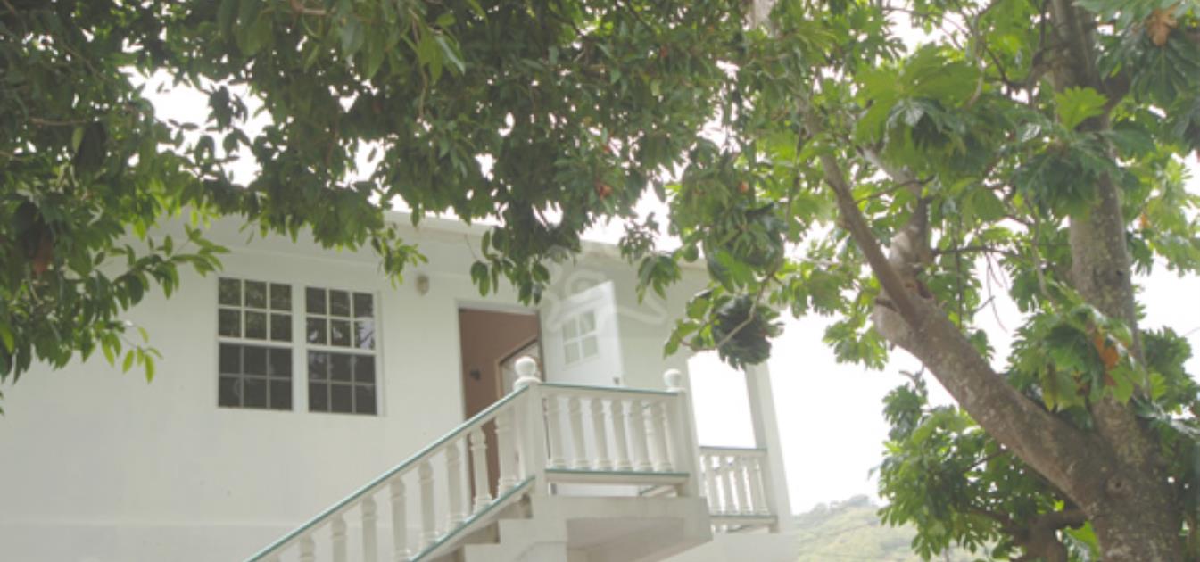 vacation-rentals/st-vincent-and-the-grenadines/bequia/ocar/breadfruit-and-papaya