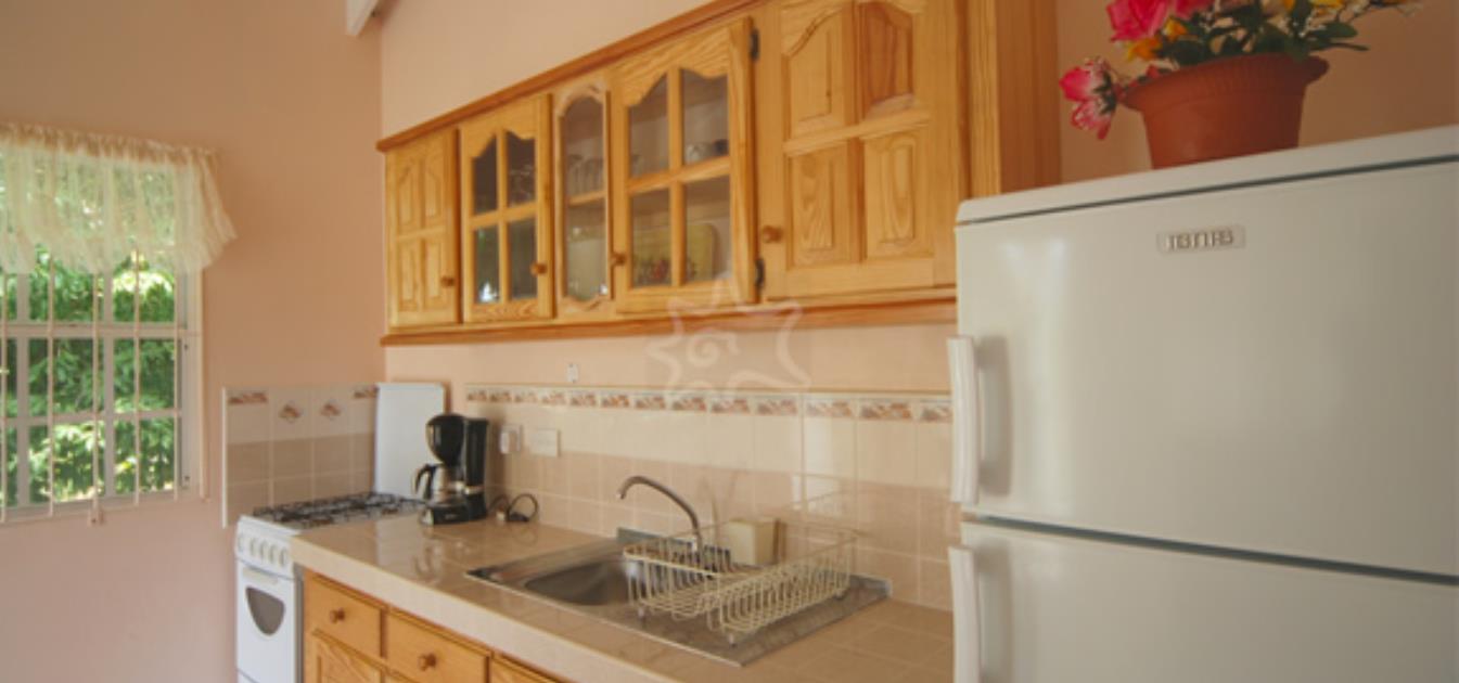 vacation-rentals/st-vincent-and-the-grenadines/bequia/ocar/breadfruit-and-papaya