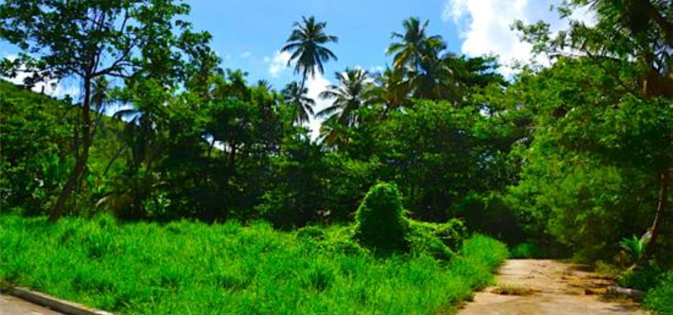 Crown Point GR975 Plot 5