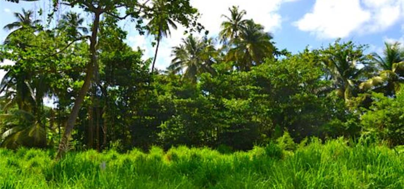 Crown Point GR975 Plot 5