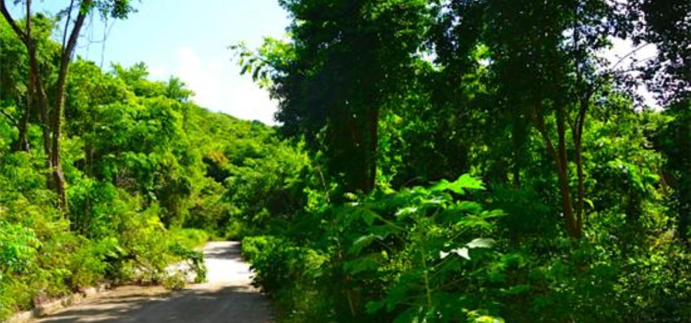 Crown Point GR990 Plot 5