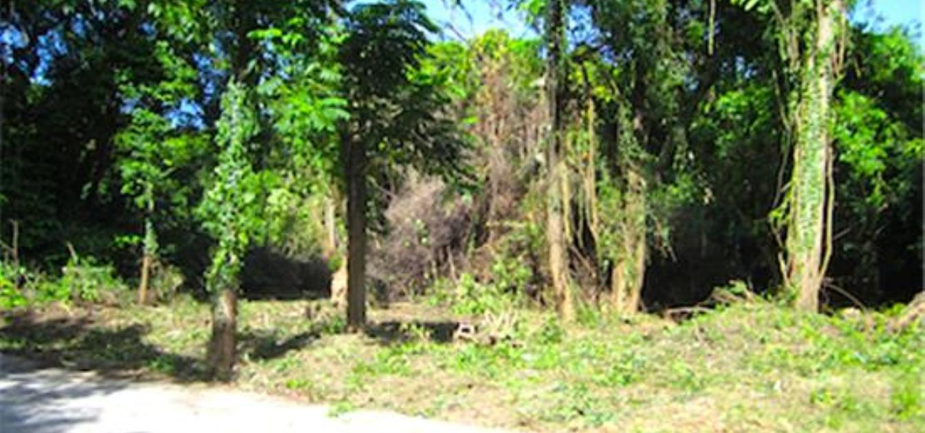 Crown Point GR990 Plot 5