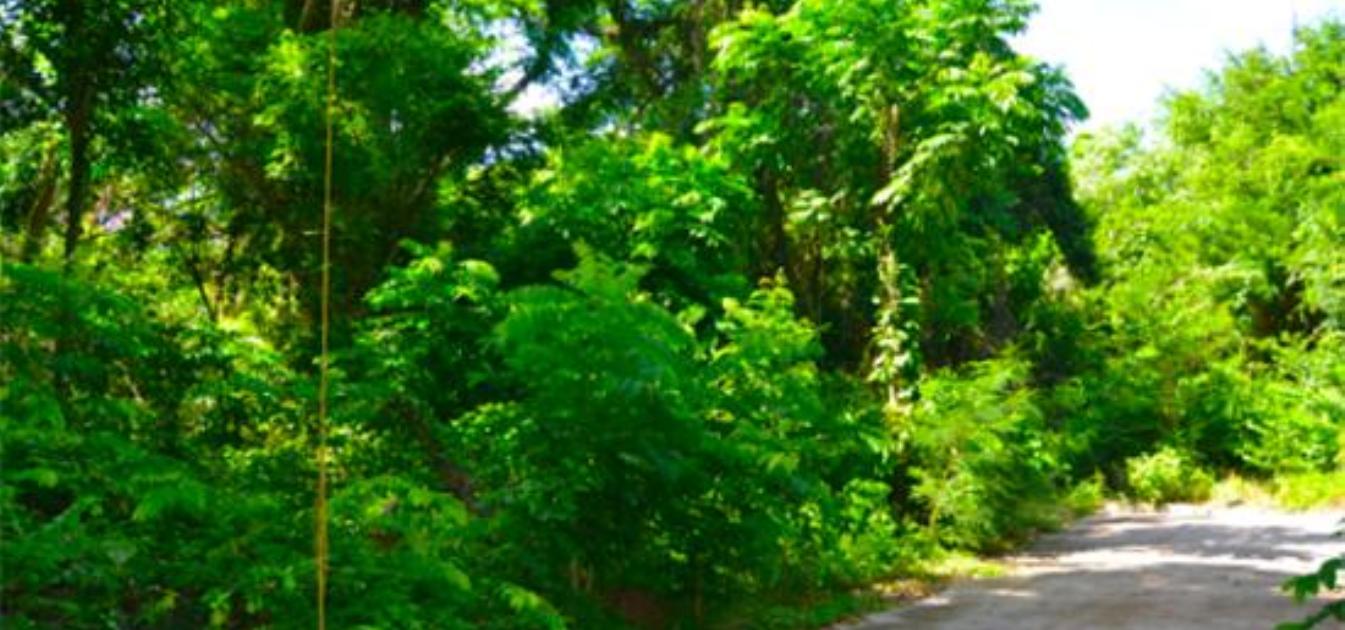 Crown Point GR990 Plot 5