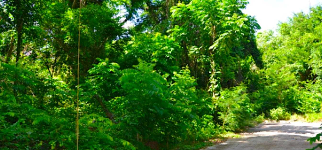 Crown Point GR990 Plot 5