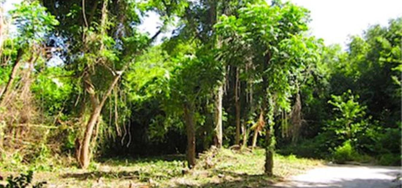 Crown Point GR990 Plot 5