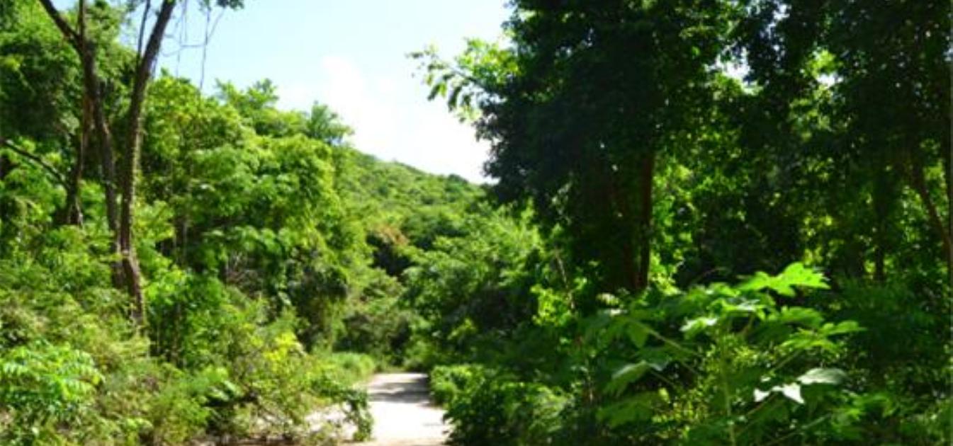 Crown Point GR990 Plot 5