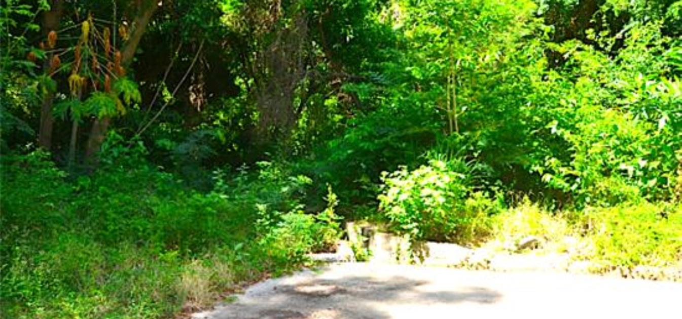 Crown Point GR990 Plot 5