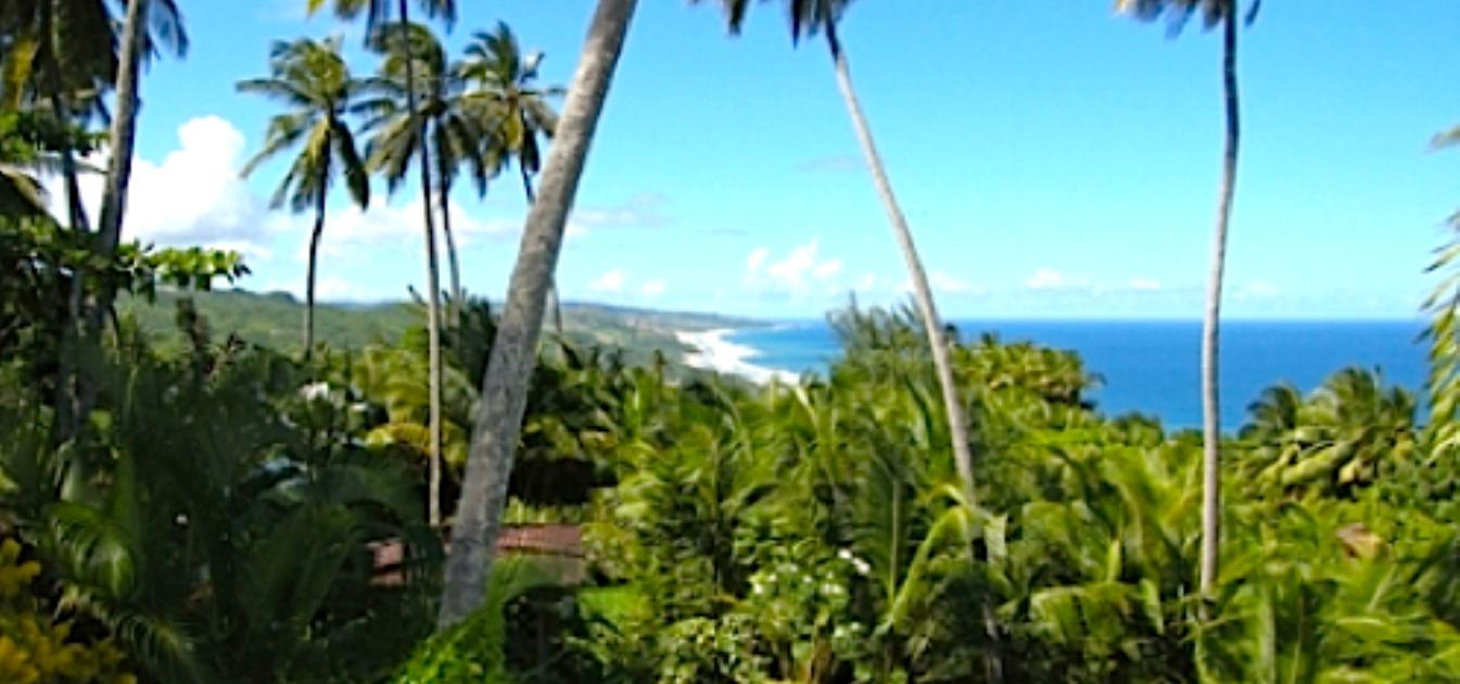 La Paillote Villa