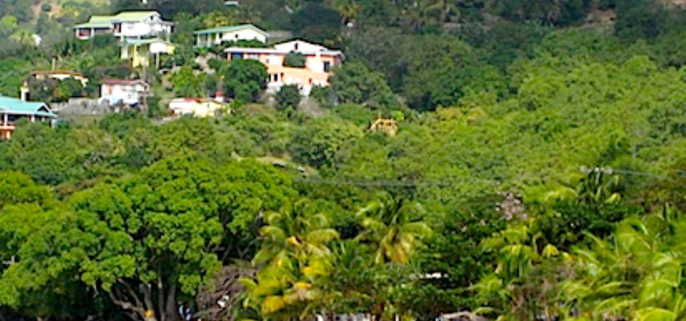 Lower Bay Land with Views
