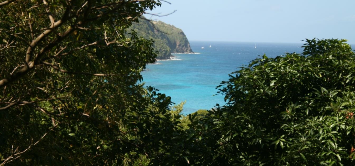 Lower Bay Land with Views
