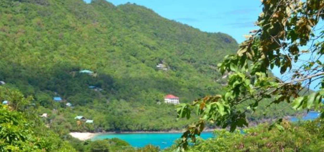 Lower Bay Land with Views