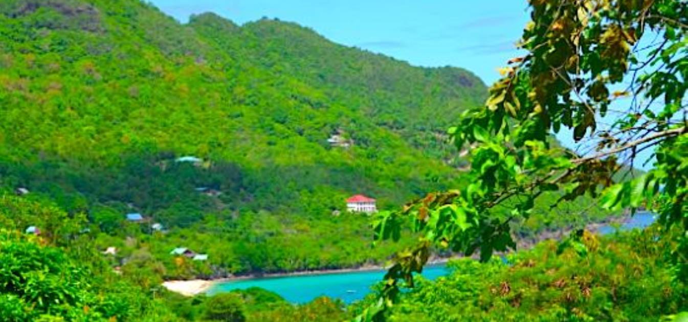 Lower Bay Land with Views