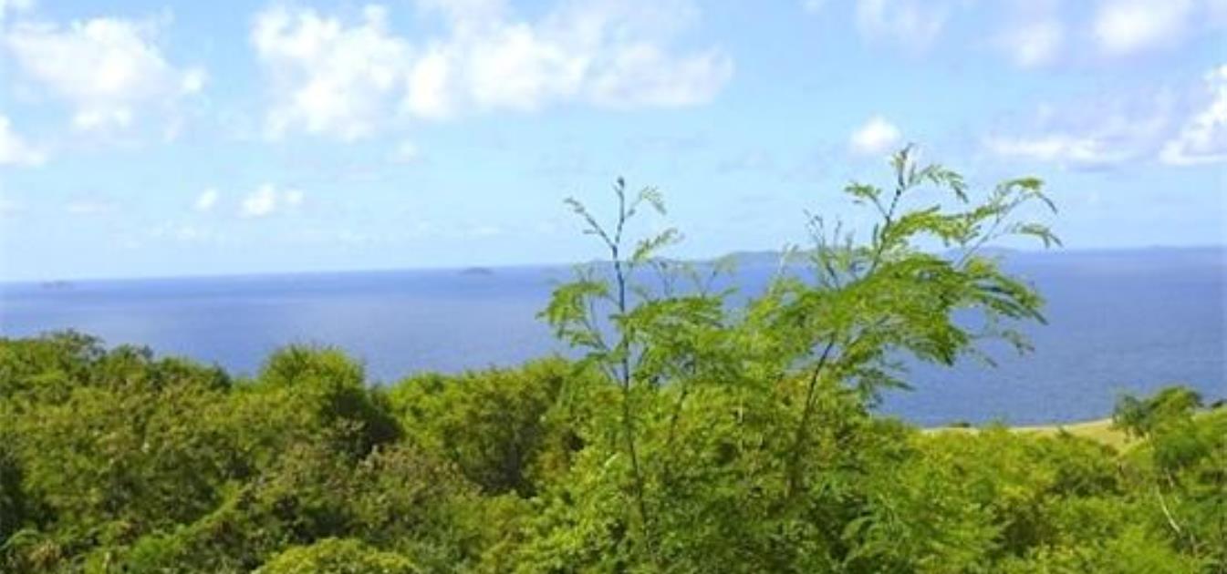 Mount Pleasant Land GR863