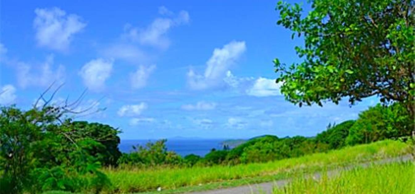 Mount Pleasant Land GR863