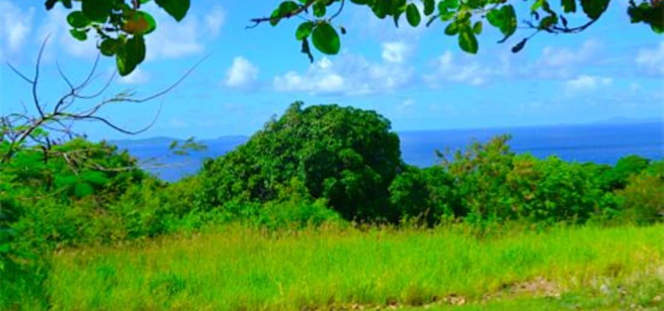 Mount Pleasant Land GR863