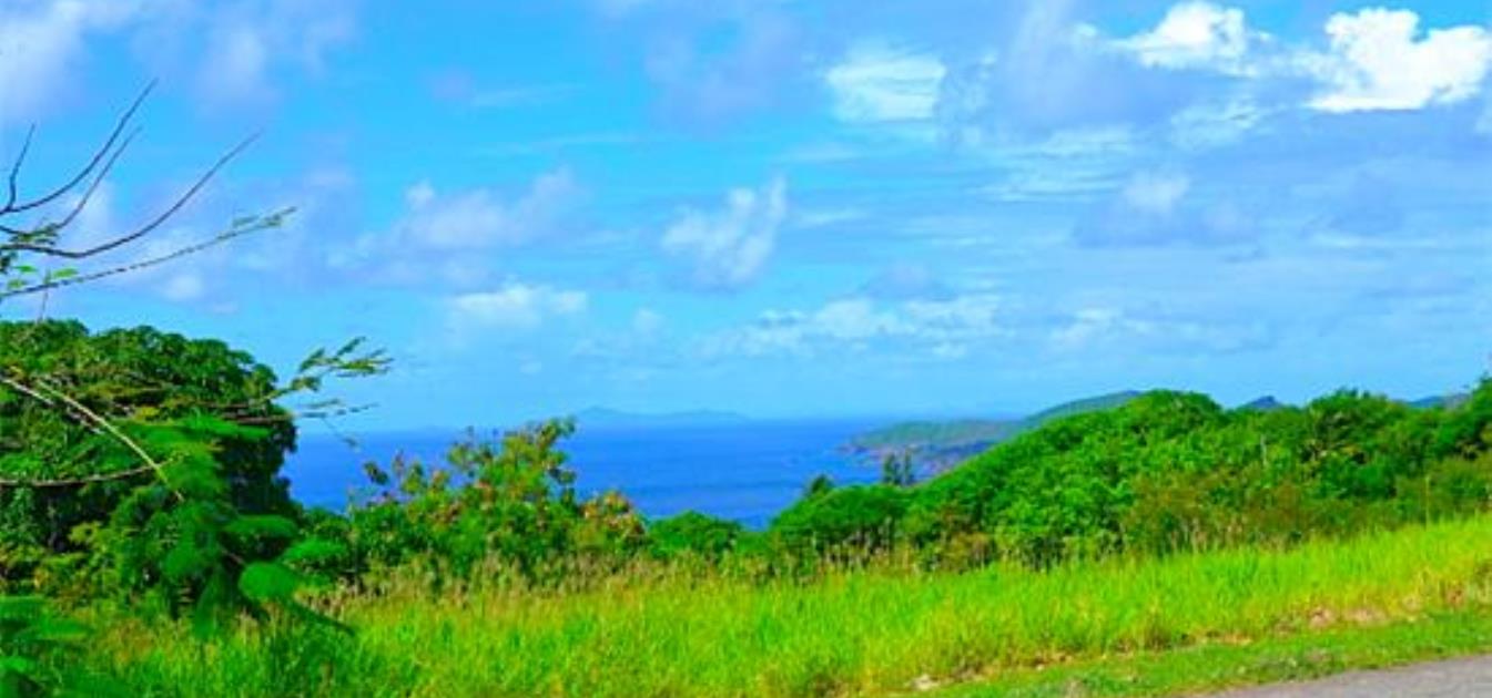 Mount Pleasant Land GR863