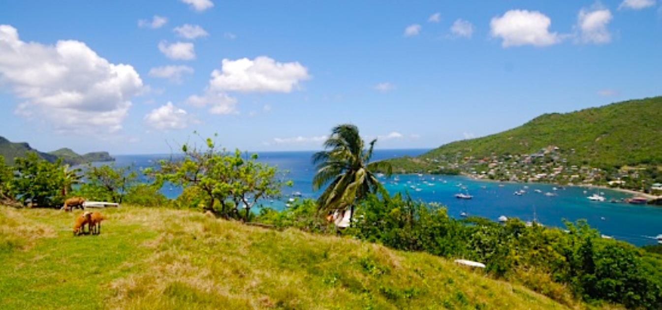 Admiralty Bay Property