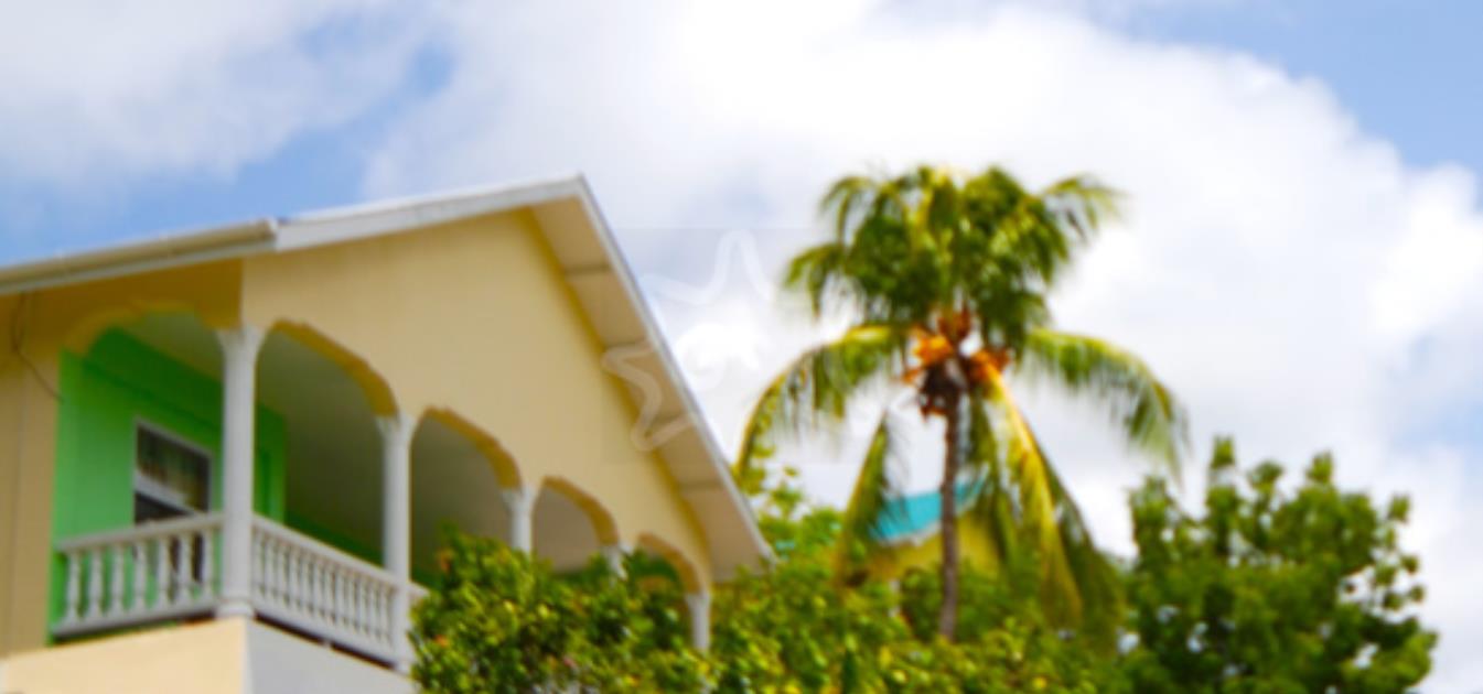 vacation-rentals/st-vincent-and-the-grenadines/bequia/lower-bay/ocean-palm-view