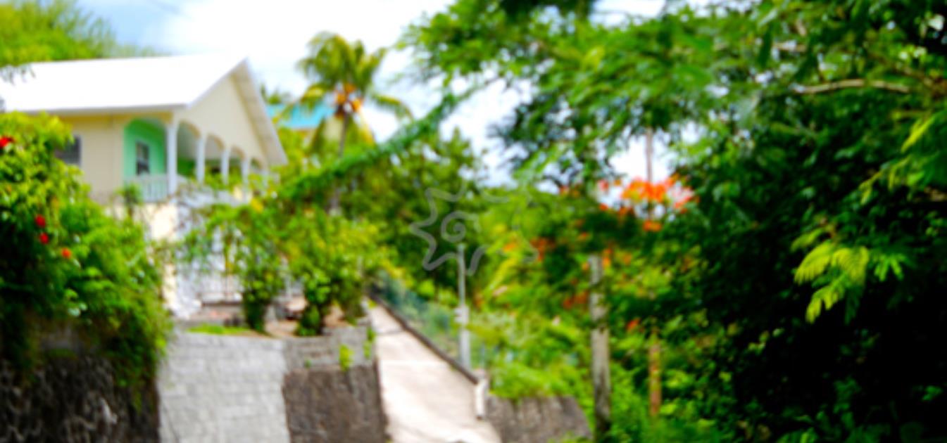 vacation-rentals/st-vincent-and-the-grenadines/bequia/lower-bay/ocean-palm-view