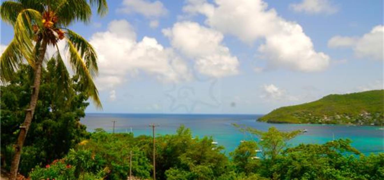 vacation-rentals/st-vincent-and-the-grenadines/bequia/lower-bay/ocean-palm-view
