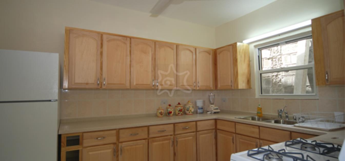 vacation-rentals/st-vincent-and-the-grenadines/bequia/lower-bay/ocean-palm-view