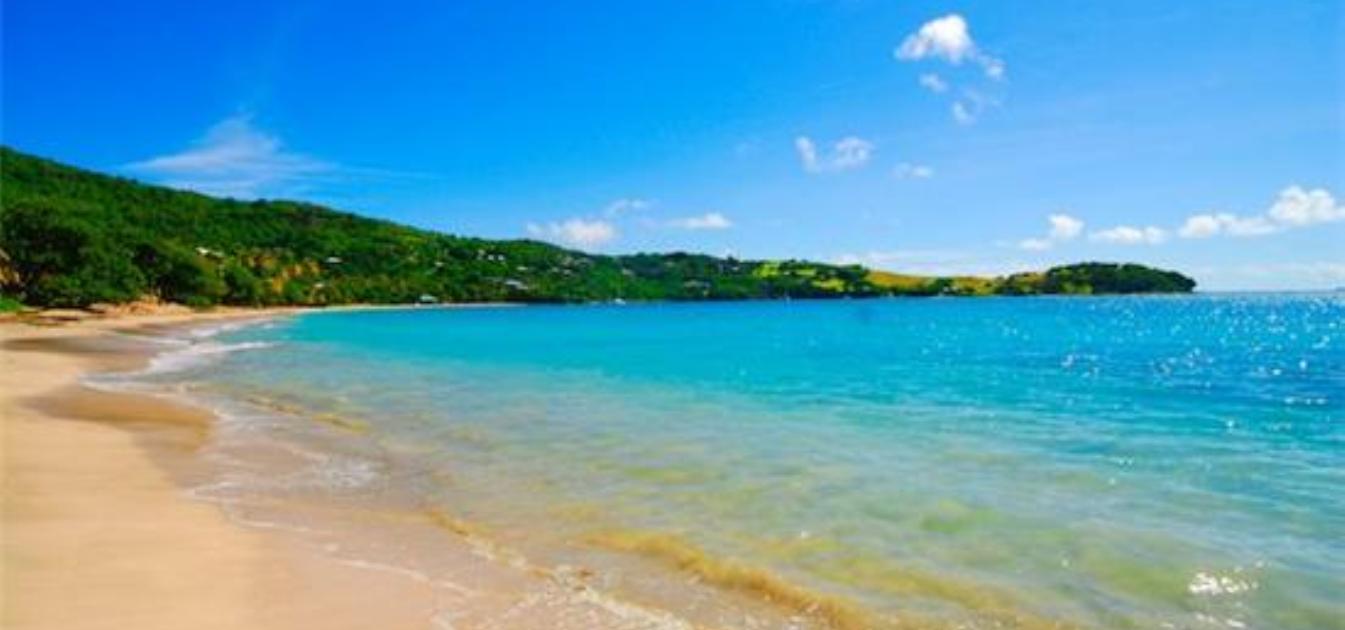 vacation-rentals/st-vincent-and-the-grenadines/bequia/friendship-bay/friendship-bay-villas-apt-a1