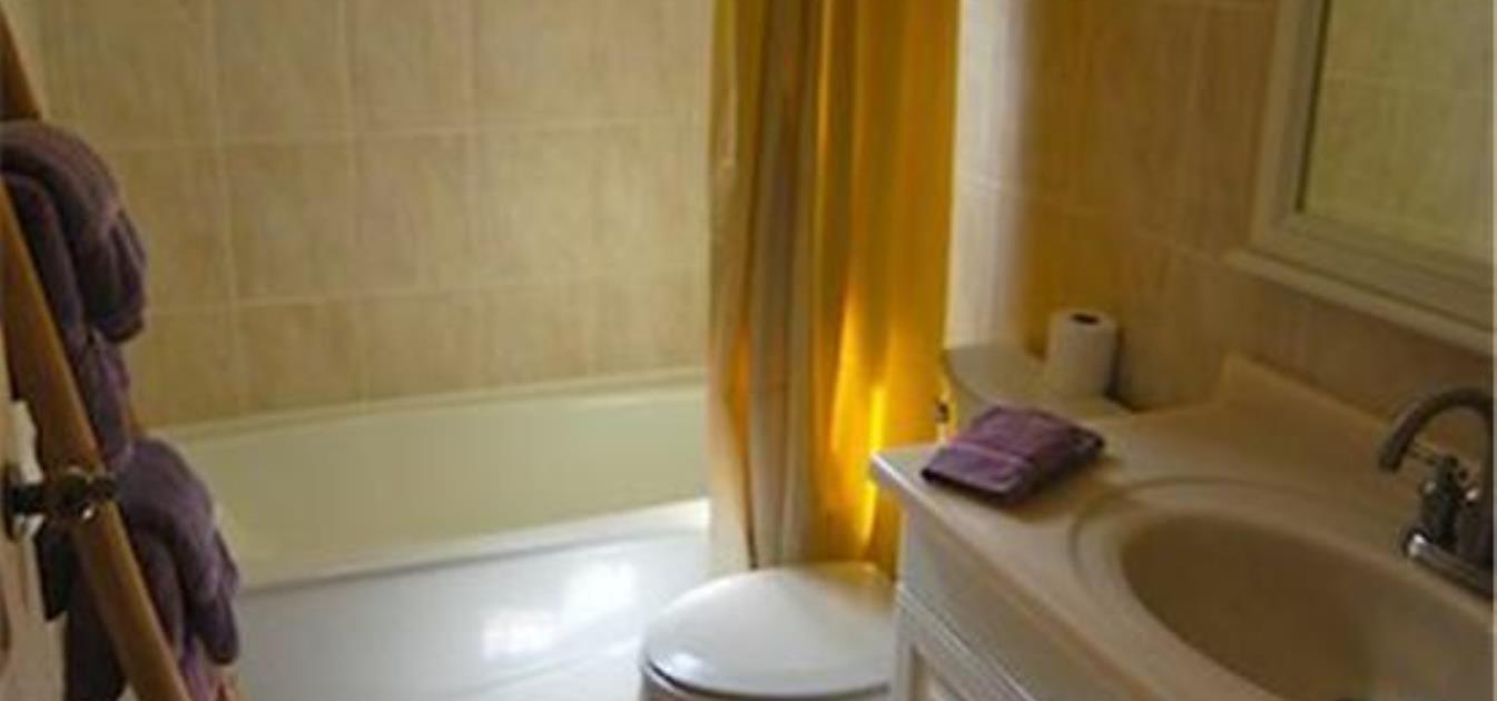 vacation-rentals/st-vincent-and-the-grenadines/bequia/friendship-bay/friendship-bay-villas-apt-b