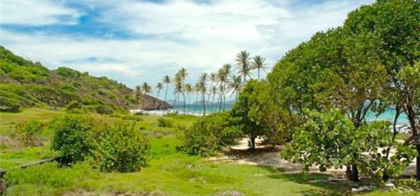 PRIVATE ISLAND Petit Nevis