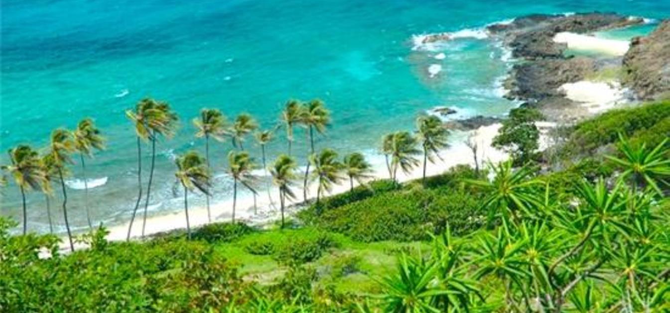 PRIVATE ISLAND Petit Nevis