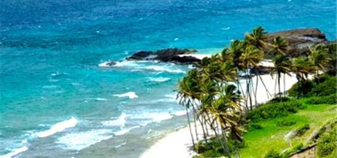 PRIVATE ISLAND Petit Nevis