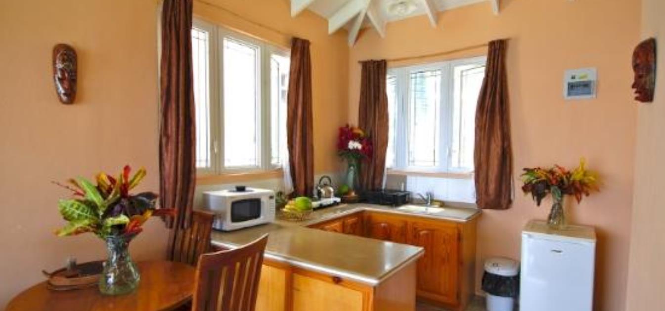 vacation-rentals/st-vincent-and-the-grenadines/bequia/friendship-bay/friendship-view-studio