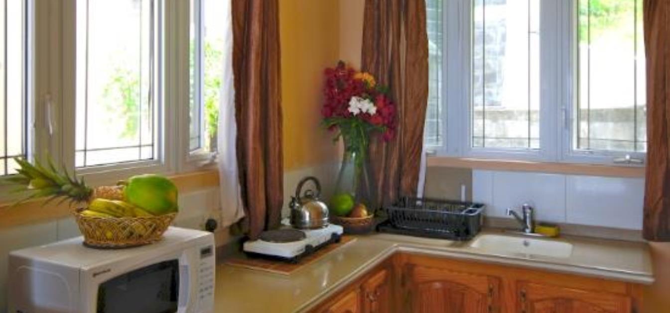 vacation-rentals/st-vincent-and-the-grenadines/bequia/friendship-bay/friendship-view-studio